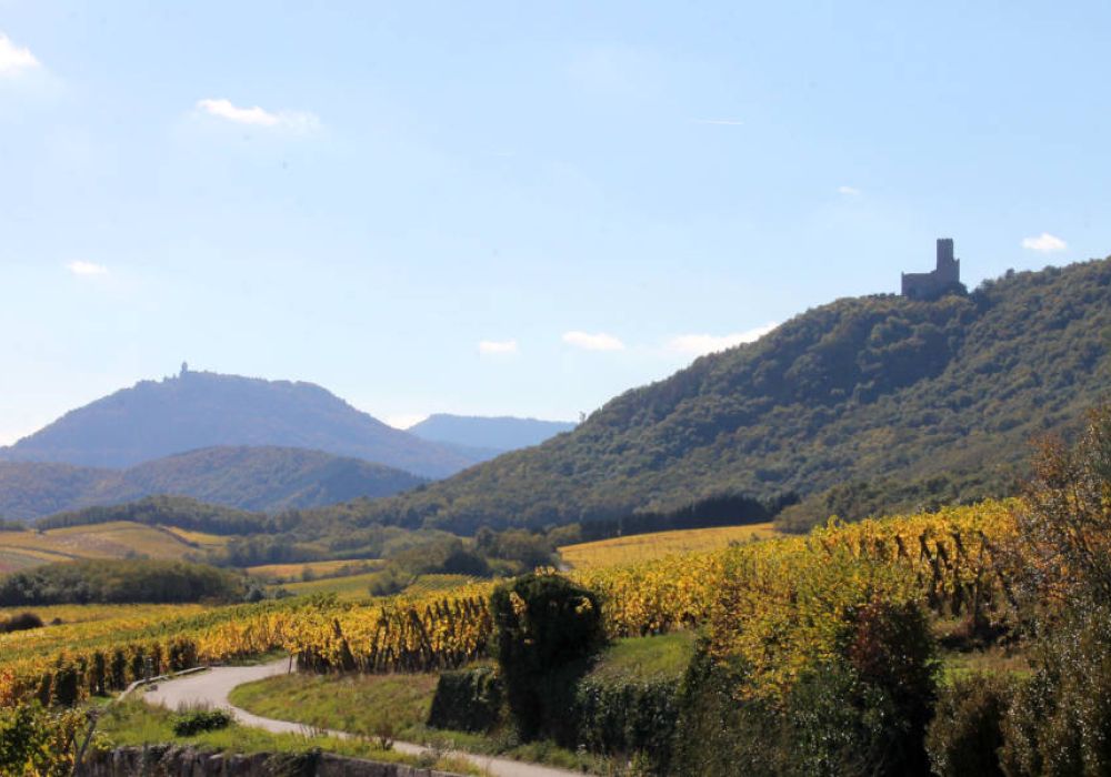 O Kub du Ried | Tourisme dans le Grand Ried en Alsace et aux Alentours